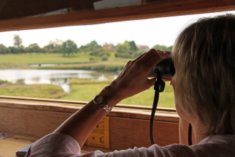 Birdwatching at Upton Warren by Wendy Carter