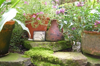 Pots on a patio by Dot Humphries