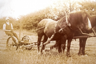 Tom Jackson's father or grandfather with horses at Hardwick Court