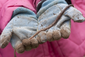 Earthworm in gloved hands by Tom Marshall