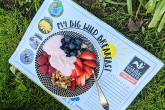 Breakfast bowl (fruit, nuts and yoghurt) on a 30 Days Wild 'Big Wild Breakfast' placemat