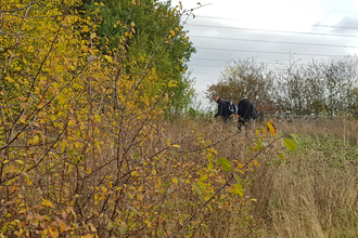 Volunteers near a hedge looking for brown hairstreak eggs on young blackthorn growth by Jasmine Walters