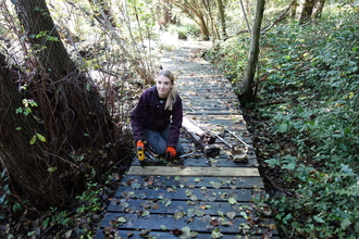 Young woman repairing a boardwalk (using a drill to replace a wooden slat) through a woodland by Iain Turbin