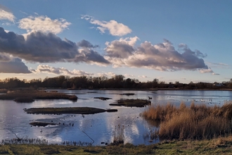 Upton Warren's The Moors wetlands taken from the lapwing hide by Mike Perry