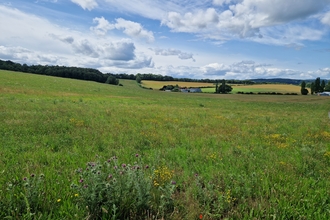 A meadow at Dropping Well Farm, with buildings in the distance