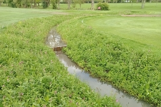 A ditch running through a golf course, enhanced with vegetation and wildflowers