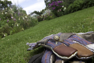 Snail on a pair of gardening gloves with a lawn and flower beds beyond by Tom Marshall