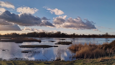 Upton Warren's The Moors wetlands taken from the lapwing hide by Mike Perry