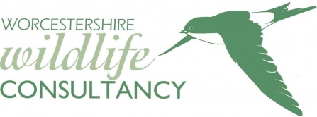 Worcestershire Wildlife Consultancy logo