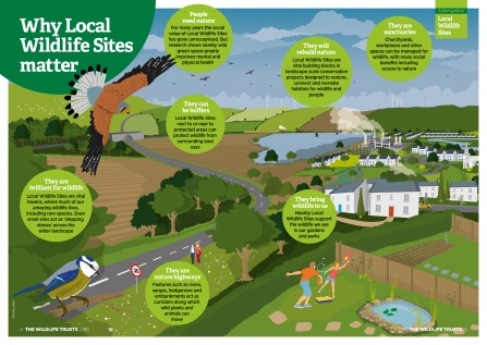 Why Local Wildlife Sites Matter