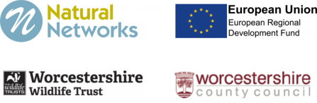Natural Networks Logos