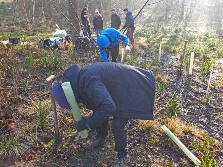 Kidderminster College students planting trees at Trench Wood by Chris Millington