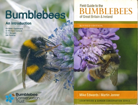 Covers of two books about bumblebees By Harry Green