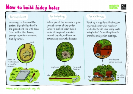 instructions for creating hidey holes for wildlife