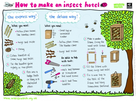 Instructions for making an insect hotel