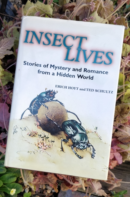 Cover of 'Insect Lives' book