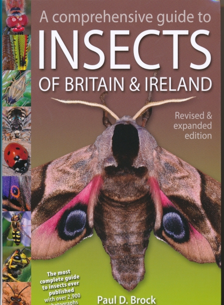 Front cover of "A comprehensive guide to Insects of Britain and Ireland" by Paul D Brock