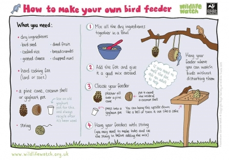 Instructions for making a bird feeder
