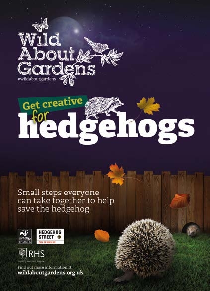 Front cover of booklet to help hedgehogs from Wild About Gardens