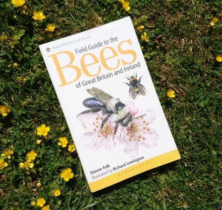 Field Guide to the Bees of Great Britain and Ireland by Steven Falk