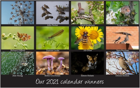 12 winning photos to feature in our 2021 calendar