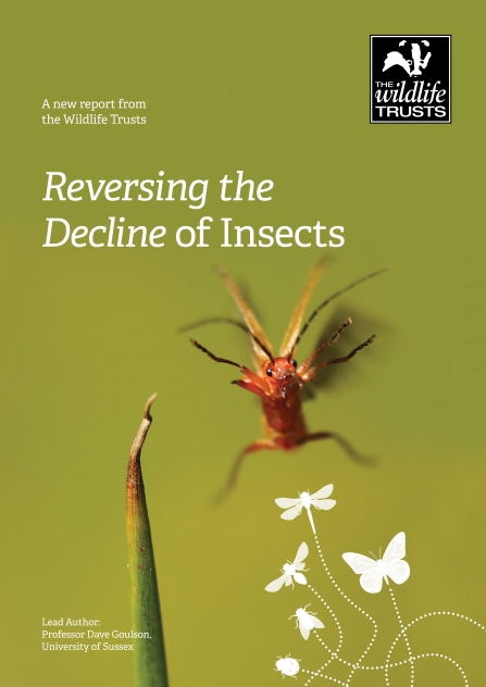 Front cover of the report Reversing the Decline of Insects