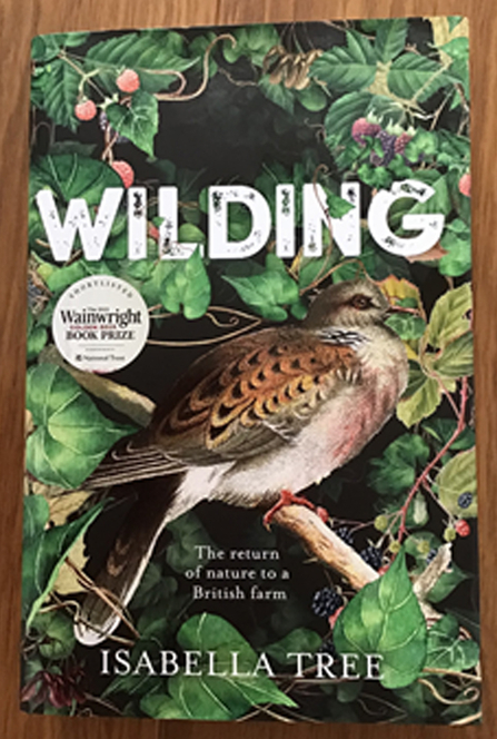 Front cover of Wilding by Isabella Tree