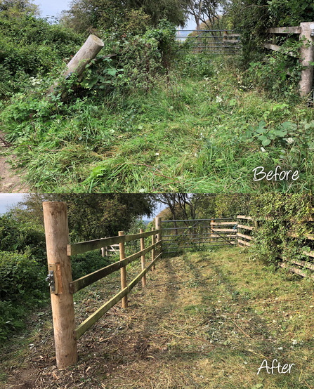 Before and after photos of a restored cattle corral by Ruthie Cooper