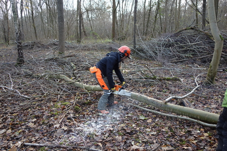 Person wearing safety clothing in a woodland cutting a felled tree in half using a chainsaw by Iain Turbin