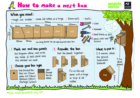 Illustrated instructions for making a bird nest box