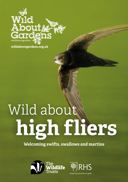 Wild about high fliers booklet front cover with a photo of a swift in flight
