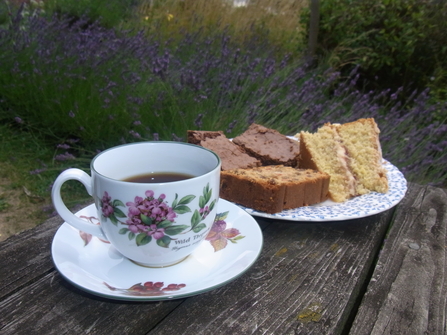 Cup of tea and pieces of cake on a picnic table with lavender in the background
