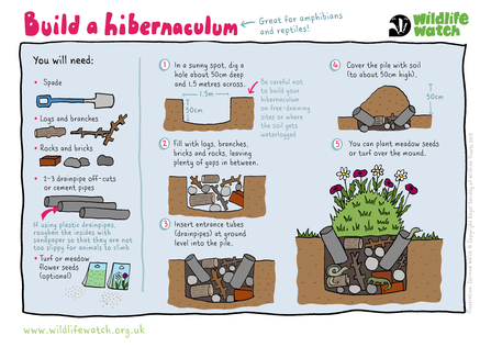 Illustrated instructions for building a hibernaculum for reptiles and amphibians