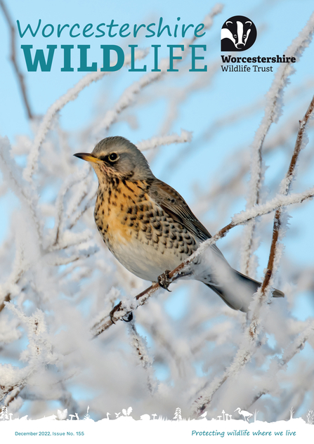 Front cover of Worcestershire Wildlife magazine a fieldfare on a snow-covered tree by Chris Gomersall/2020VISION
