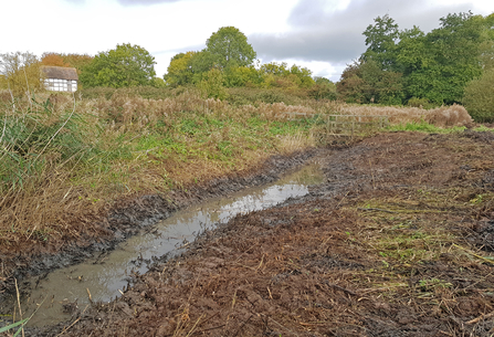 In-field ditch with reprofiled bank by Emily Williams