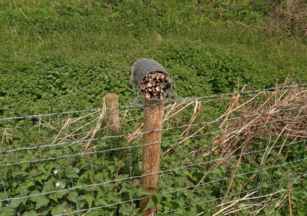 A bug hotel on top of a fence post