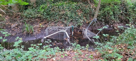 Two shopping trolleys in a ditch at Memorial Woodland