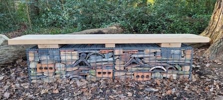 An insect hotel bench adjacent to the path at Memorial Wood