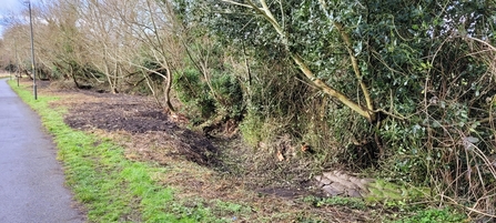 Vegetation and soil along the brook was moved to allow a meandering ditch alongside Battlefield Brook. There is a path to the left.