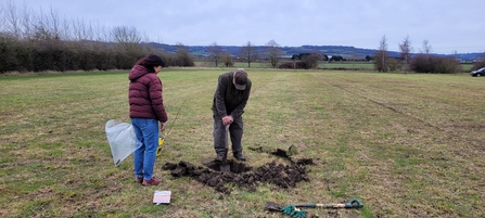 Two people planting a tree in The Leys playing field