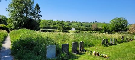 A view of a churchyard. Behind the graves, a section has been left to grow, with long grasses and wildflowers. There is a cricket pitch in the distance.