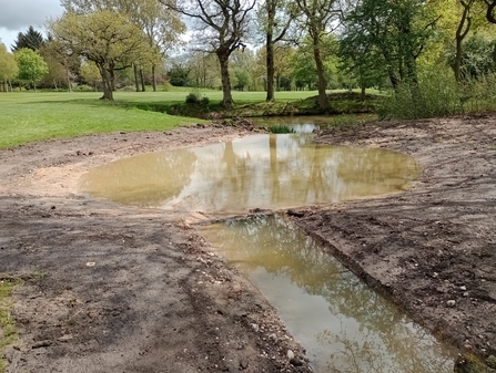 A pond extension with shallow sloping sides