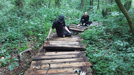 Two men sitting on a boardwalk in a woodland removing the boardwalk planks in front of them