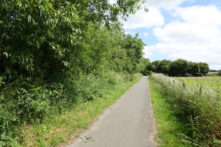 A path adjacent to Battlefield Brook, which is protected from view by trees.