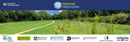 Natural Networks logos