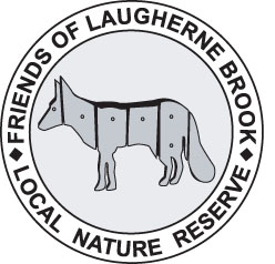 Friends of Laugherne Brook logo - an illustrated fox in a circle with the words Friends of Laugherne Brook Local Nature Reserve around the edge