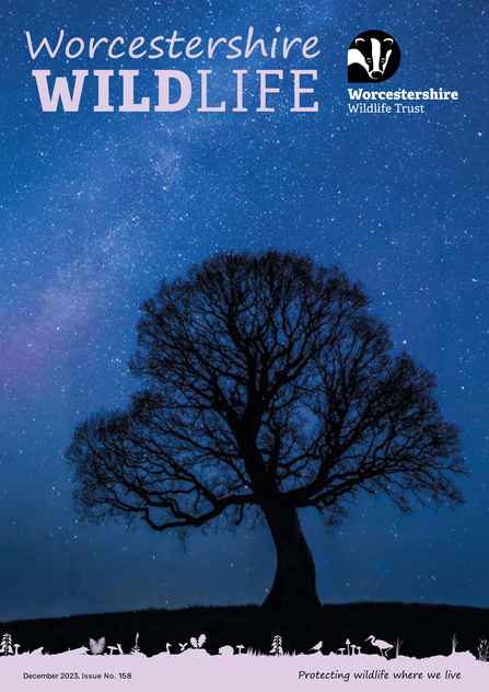 Front cover of magazine with "Worcestershire Wildlife" and logo at top with a silhouette of a tree in front of a starry sky by Phil Savoie, naturepl.com