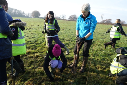 A group of adults and children planting trees at Green Farm