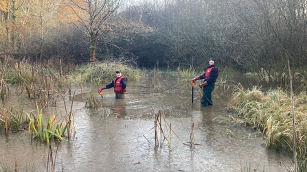 Trainees removing Typha Angustifolia from Monkwood pond