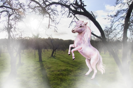 Unicorn in orchard